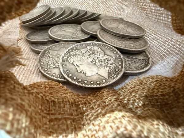 Dollar coins arranged on burlap; authenticity not independently verified